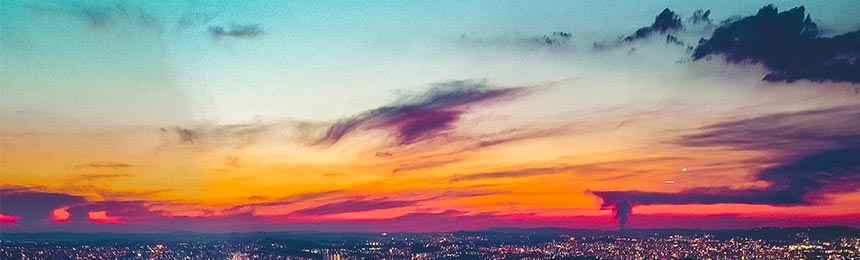 长春茶虫网_长春品茶